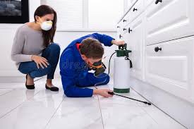 Best Pest Control for Multi-Family Homes  in Cranston, RI